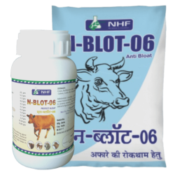 N-Blot-06