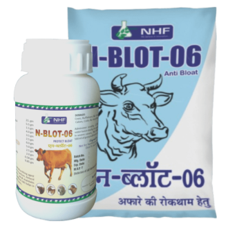 N-Blot-06