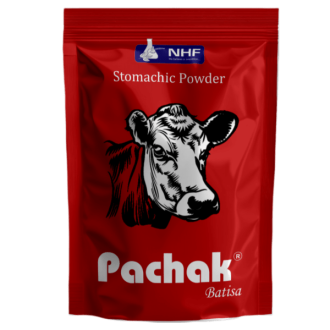 Pachak Batisa