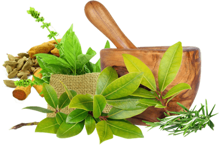 Natural Herbs